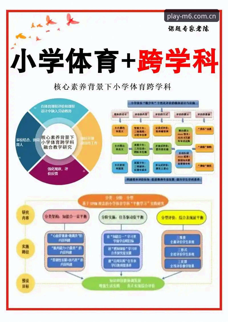 M6体育平台体验深度分析：核心功能与使用方案全面对比